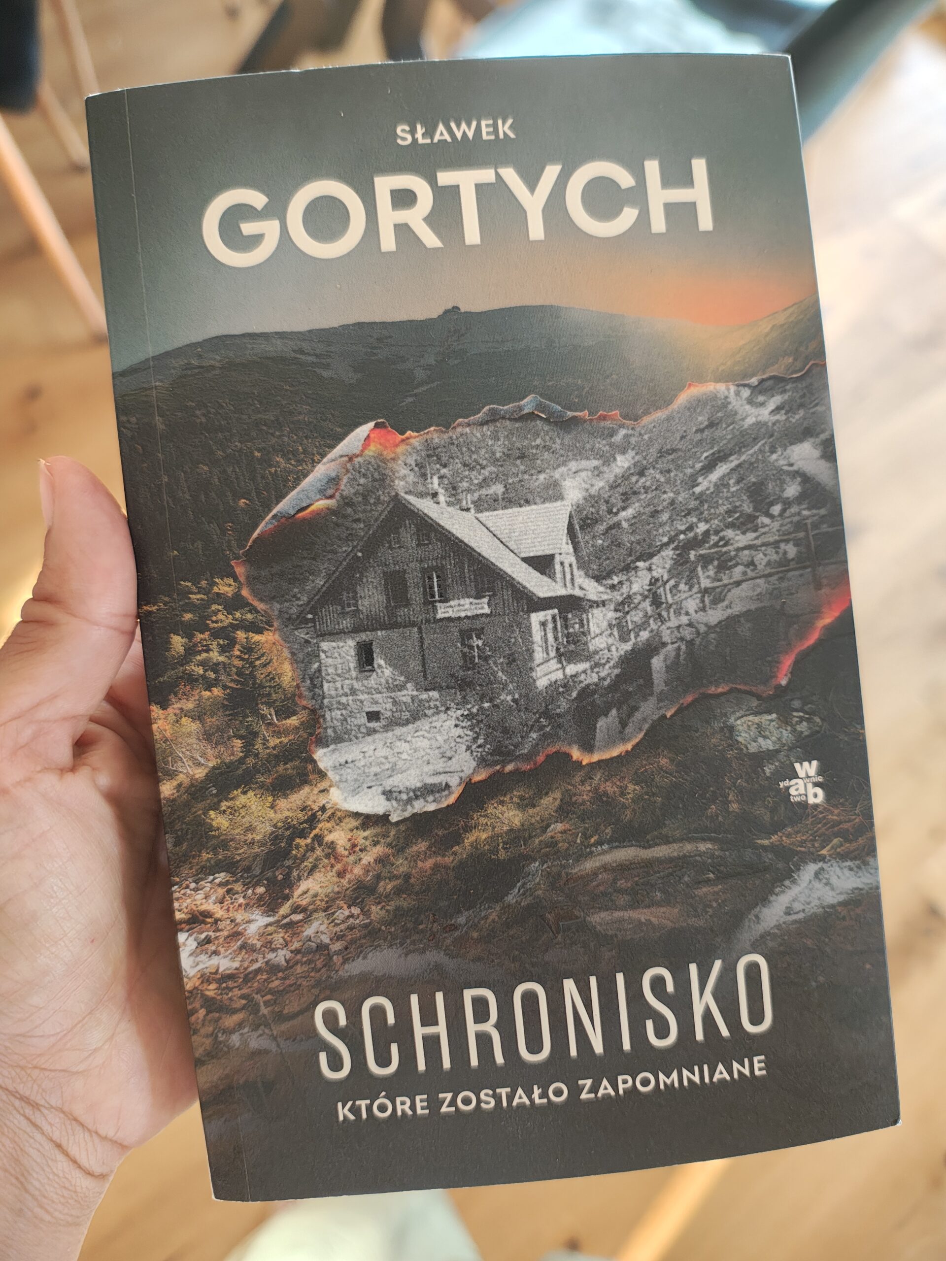 książka, kryminał, recenzja książki