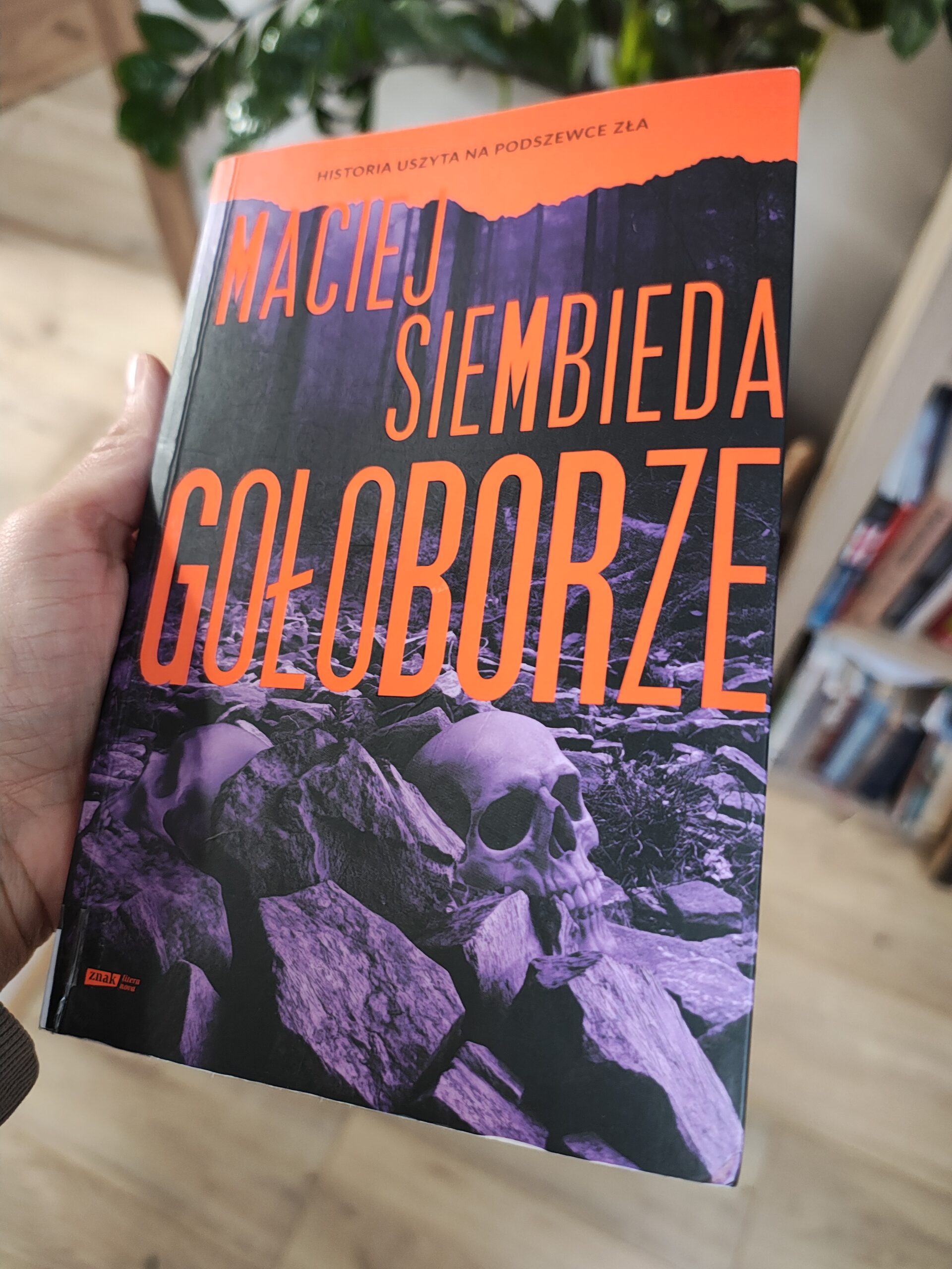 powieść Gołoborze, okładka